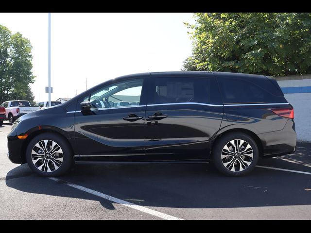 2025 Honda Odyssey Elite