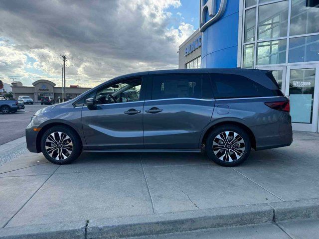 2025 Honda Odyssey Elite