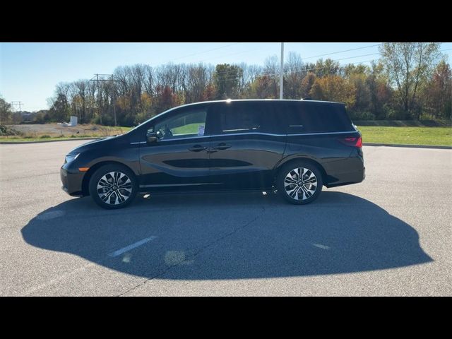 2025 Honda Odyssey Elite