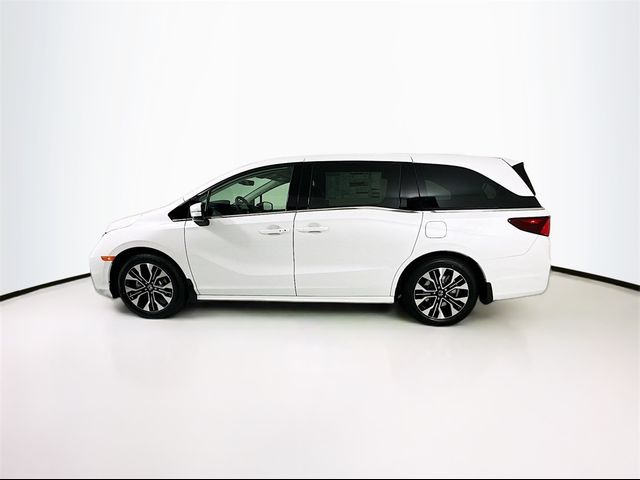 2025 Honda Odyssey Elite