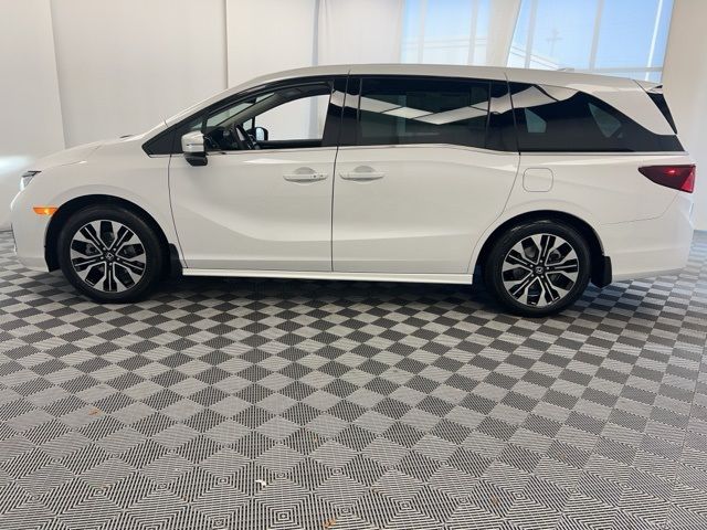 2025 Honda Odyssey Elite