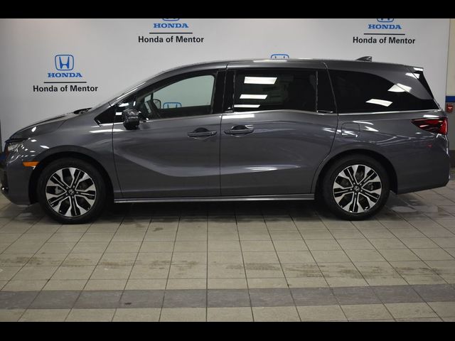 2025 Honda Odyssey Elite