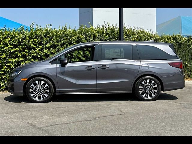 2025 Honda Odyssey Elite