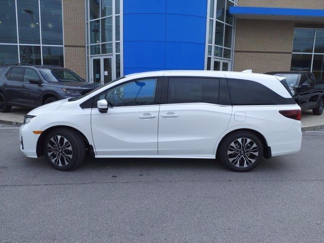 2025 Honda Odyssey Elite