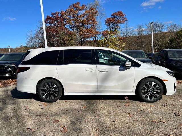 2025 Honda Odyssey Elite