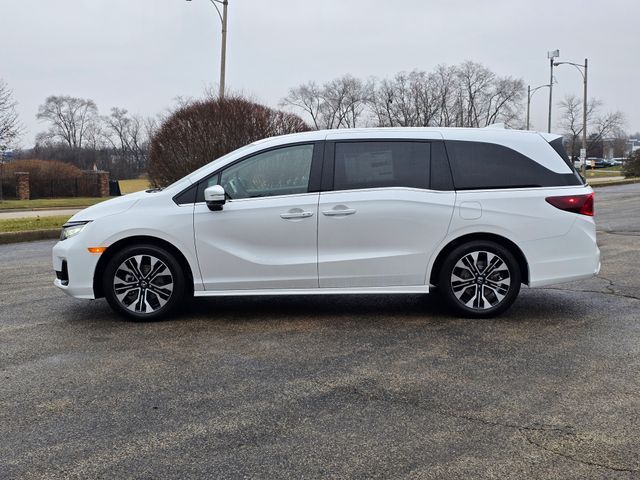 2025 Honda Odyssey Elite