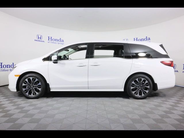 2025 Honda Odyssey Elite