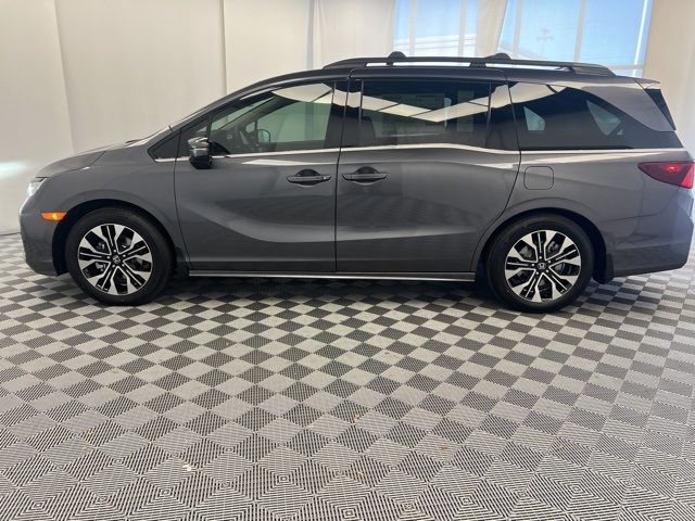 2025 Honda Odyssey Elite