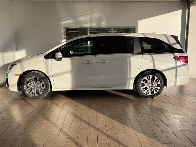 2025 Honda Odyssey Touring