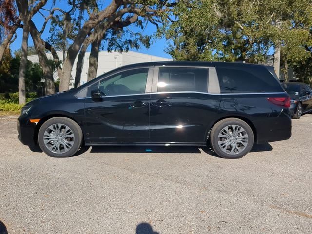 2025 Honda Odyssey Touring