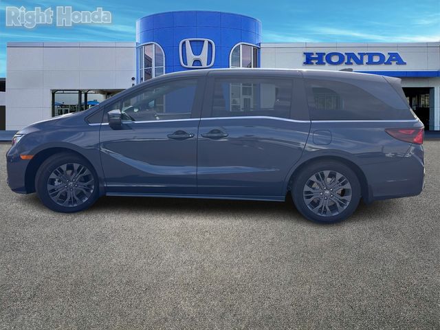 2025 Honda Odyssey Touring