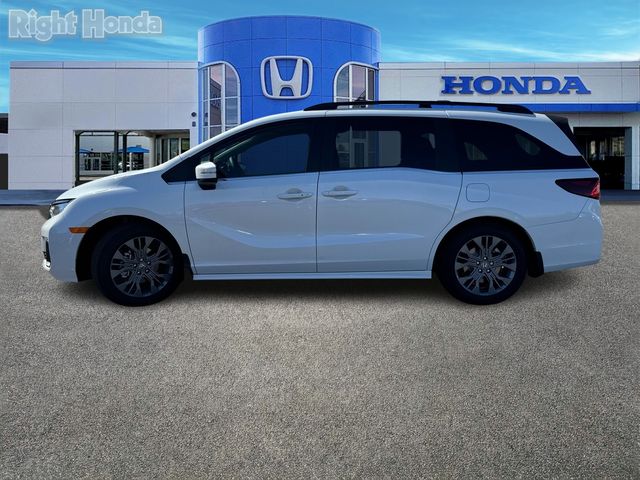 2025 Honda Odyssey Touring