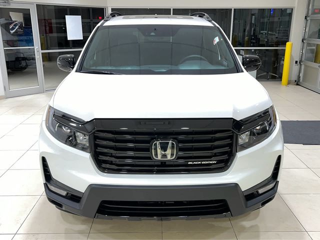 2025 Honda Passport Black Edition