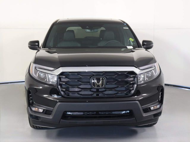 2025 Honda Passport EX-L