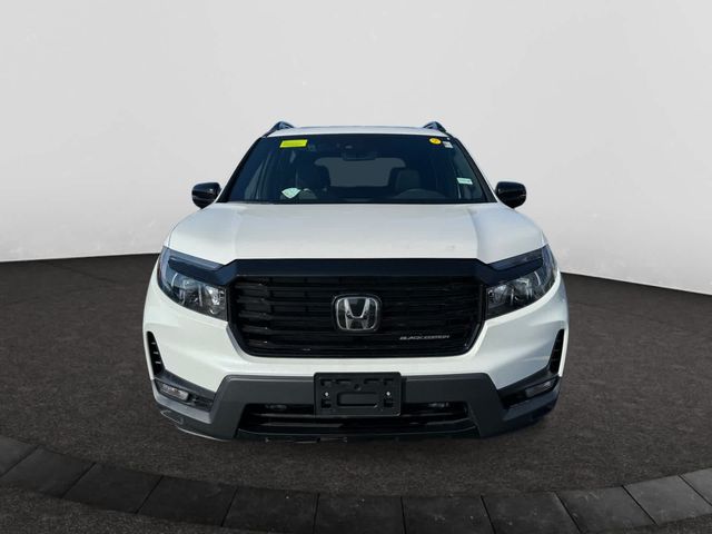 2025 Honda Passport Black Edition