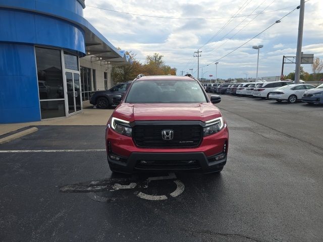 2025 Honda Passport Black Edition