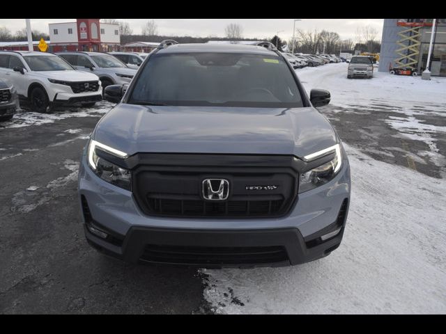 2025 Honda Passport Black Edition