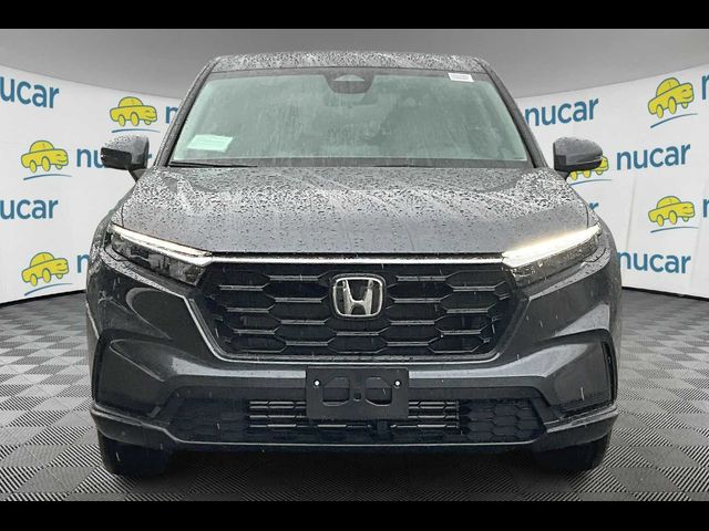 2025 Honda Passport Black Edition