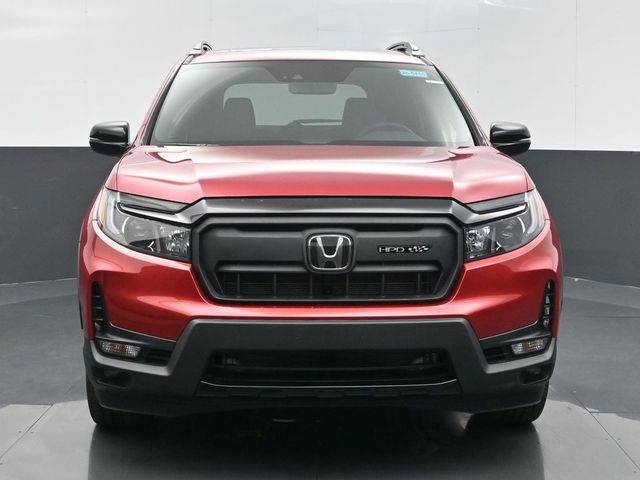 2025 Honda Passport Black Edition