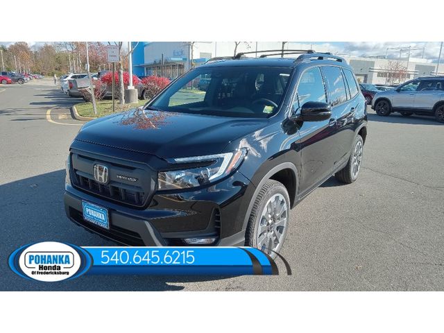 2025 Honda Passport Black Edition