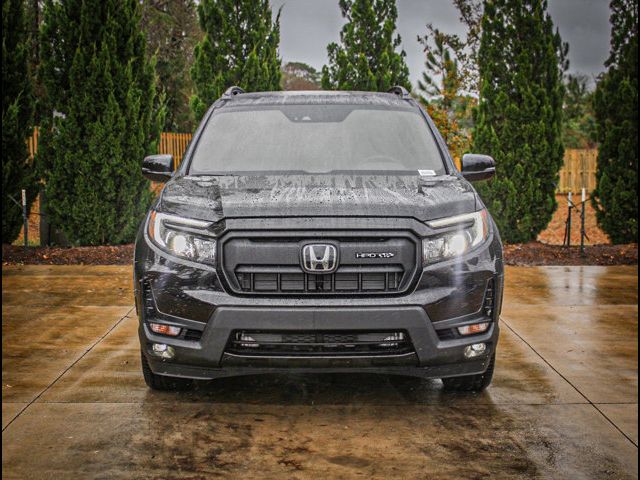 2025 Honda Passport Black Edition