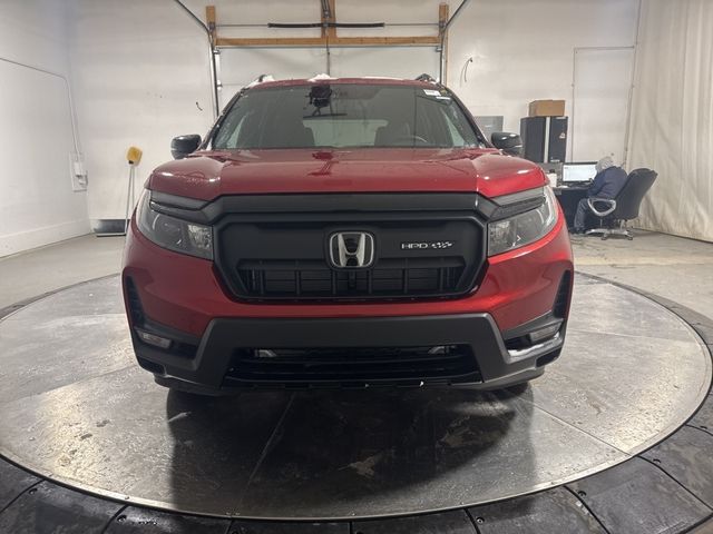 2025 Honda Passport Black Edition