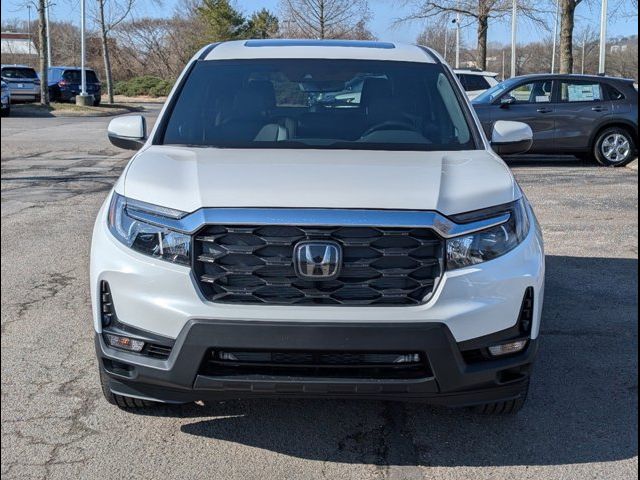 2025 Honda Passport EX-L