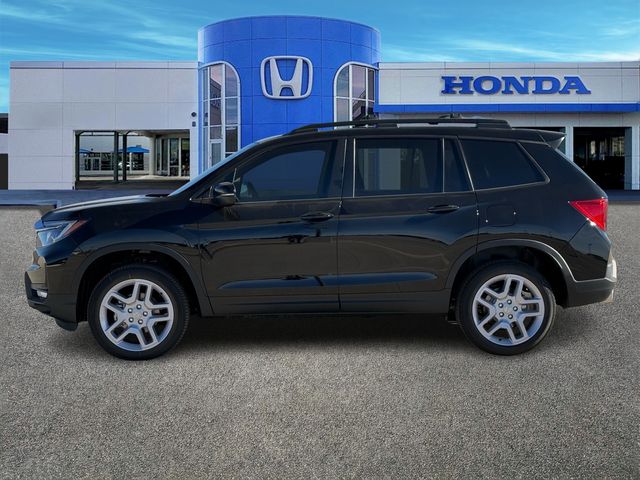 2025 Honda Passport EX-L