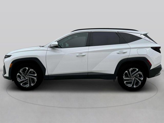 2025 Hyundai Tucson Limited