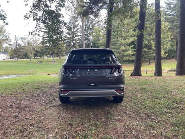 2025 Hyundai Tucson Hybrid Limited