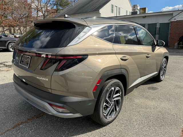 2025 Hyundai Tucson Hybrid Limited