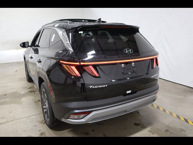 2025 Hyundai Tucson Hybrid Limited