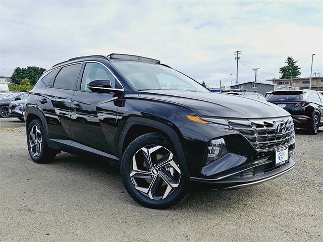 2025 Hyundai Tucson Hybrid Limited