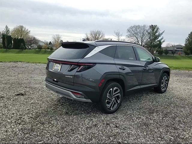 2025 Hyundai Tucson Hybrid Limited