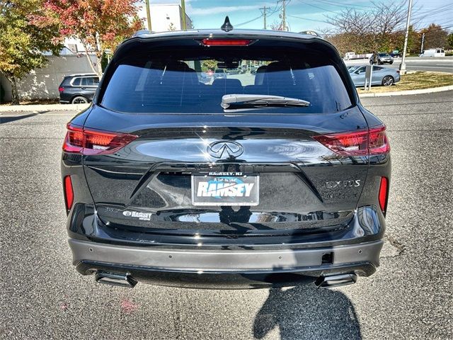 2025 INFINITI QX50 SPORT