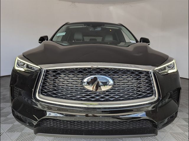 2025 INFINITI QX50 Luxe