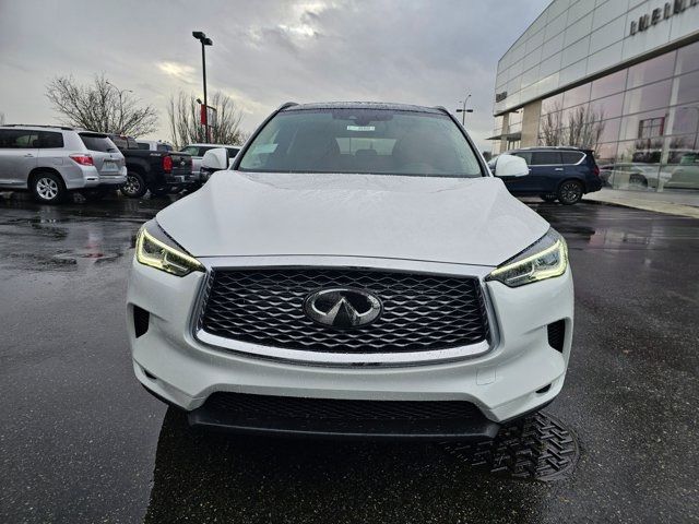 2025 INFINITI QX50 Luxe