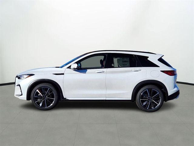 2025 INFINITI QX50 SPORT