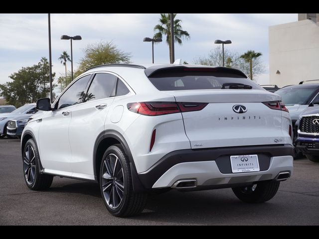 2025 INFINITI QX55 Sensory