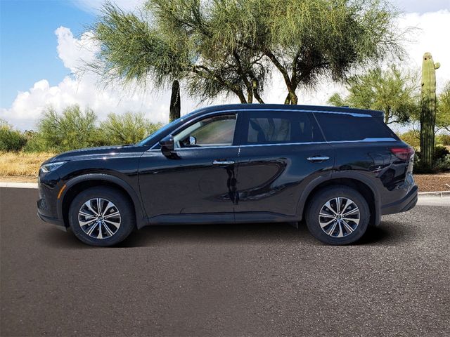 2025 INFINITI QX60 Pure