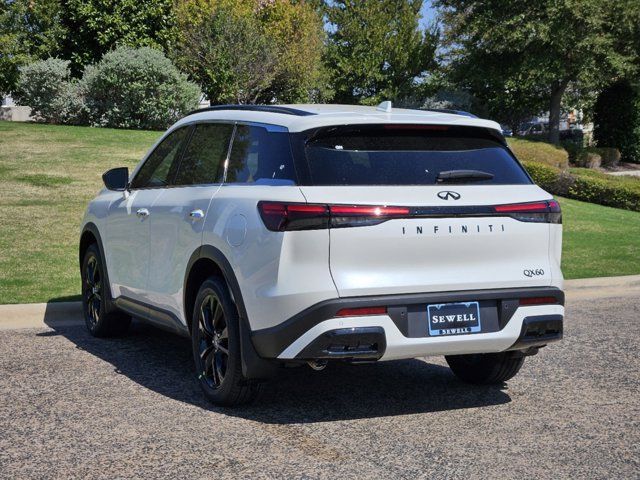 2025 INFINITI QX60 Luxe