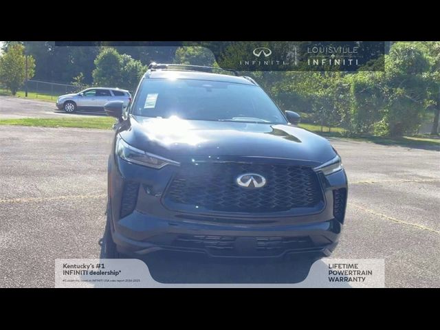 2025 INFINITI QX60 Luxe