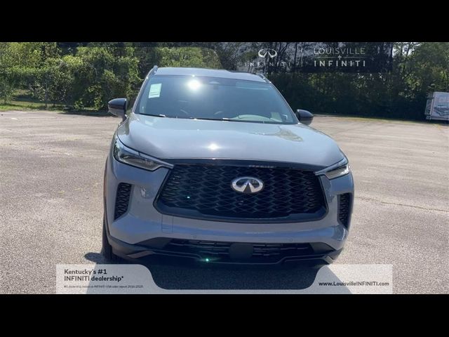 2025 INFINITI QX60 Luxe