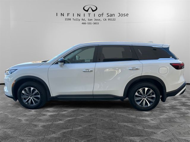 2025 INFINITI QX60 Pure