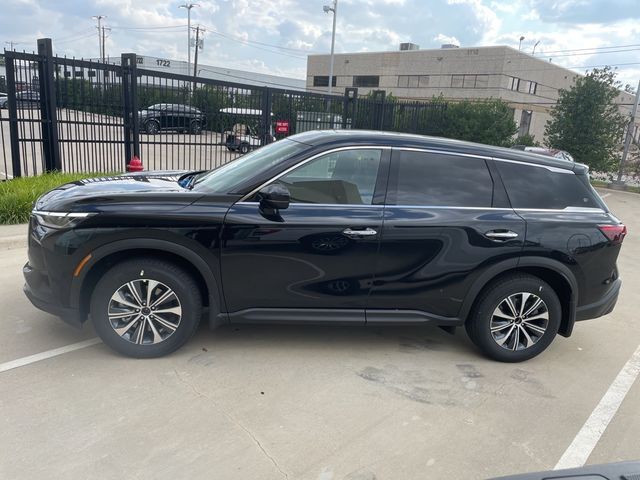 2025 INFINITI QX60 Pure