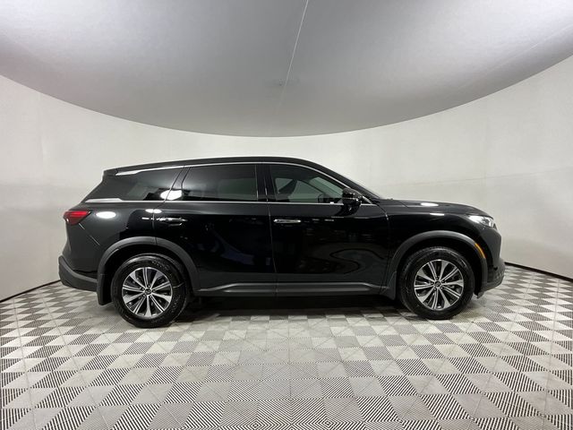 2025 INFINITI QX60 Pure