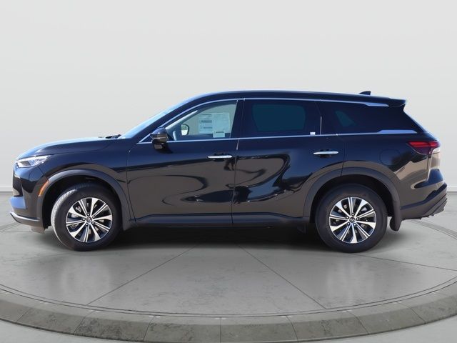 2025 INFINITI QX60 Pure