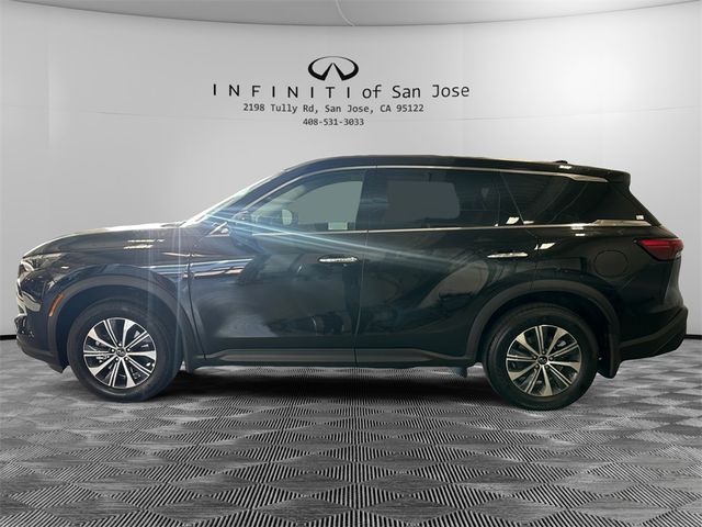 2025 INFINITI QX60 Pure