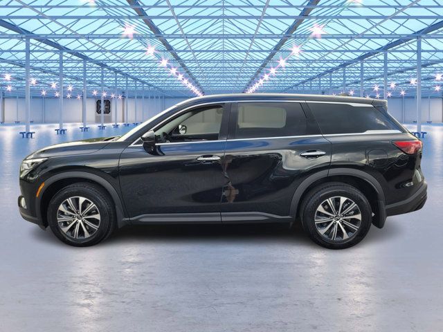 2025 INFINITI QX60 Pure