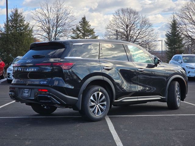 2025 INFINITI QX60 Pure